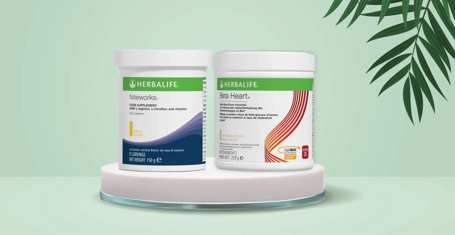 managing cholesterol levels with herbalife