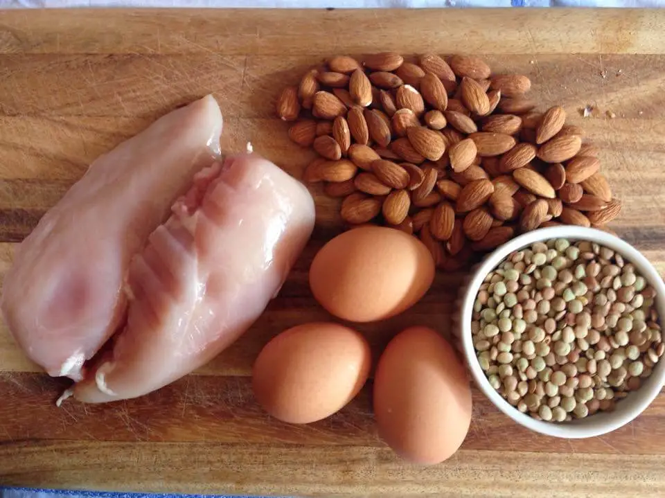 protein rich foods macronutrients